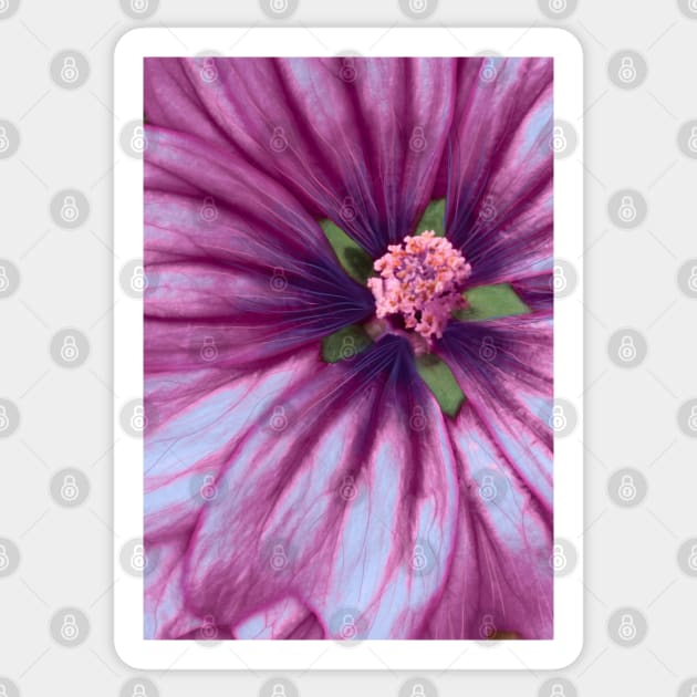 Ultraviolet Flower Purple Nature Sticker by 3vaN